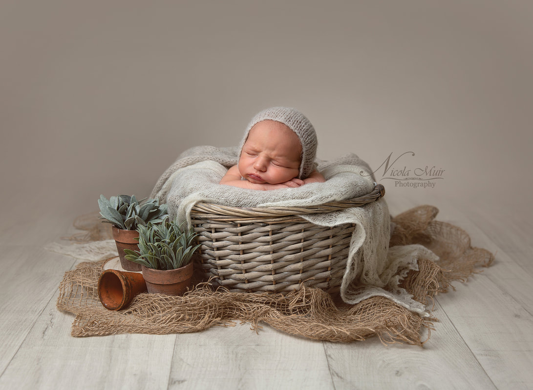 Nicola Muir Photography Newborn Portraiture